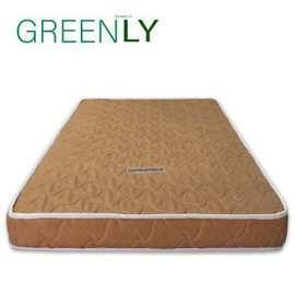 GREENLY Single Foam Mattress