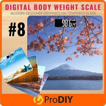 Digital Scale LCD Display Glass