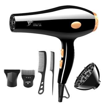 Deliya Professional Hair Dryer DLY-8033