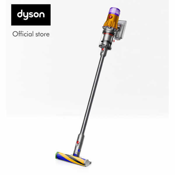 Dyson V12