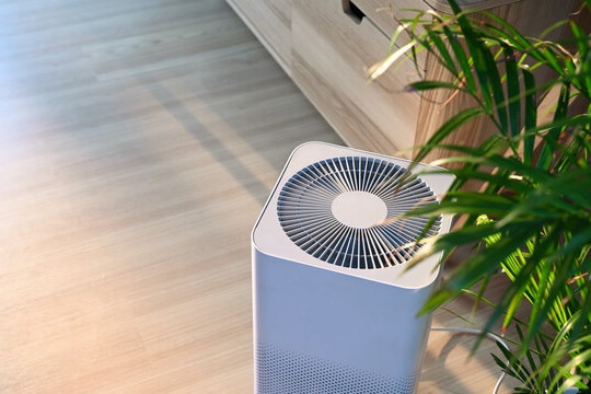 can air purifier remove bad odor