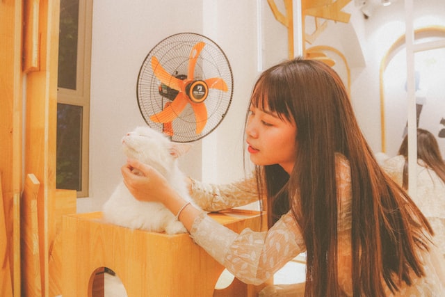 cleaning-electric-fan